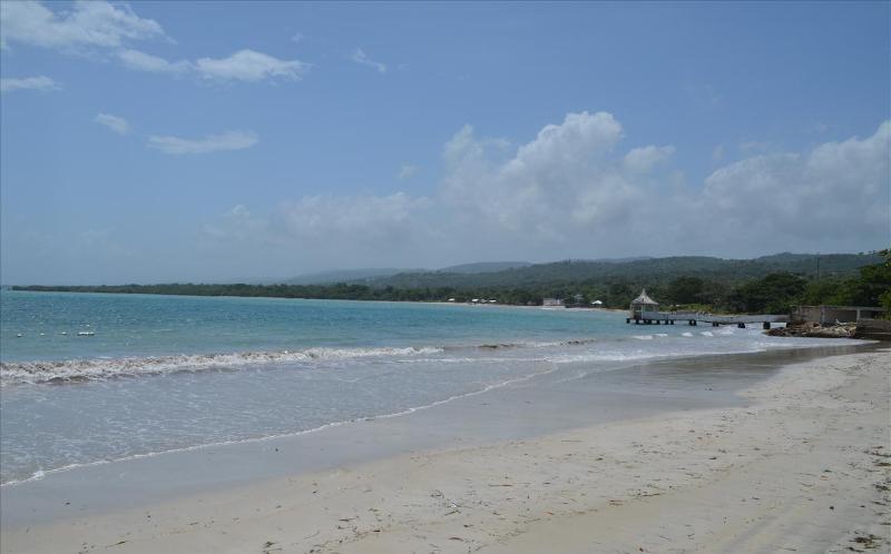 Ocho Rios Under The Palms Villa Buitenkant foto